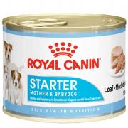 Royal Canin Mini Starter паштет для кормящих собак и щенков до 2-х месяцев, 195 г